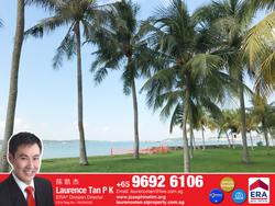 Pasir Ris Beach Park (D18), Terrace #146567242